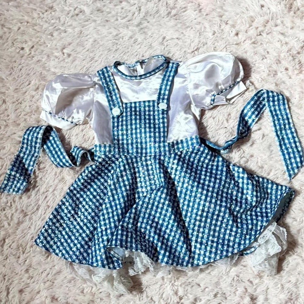 Dorothy Wizard Of Oz Sparkle Costume Cosplay Girls S Gingham Kidcore Halloween